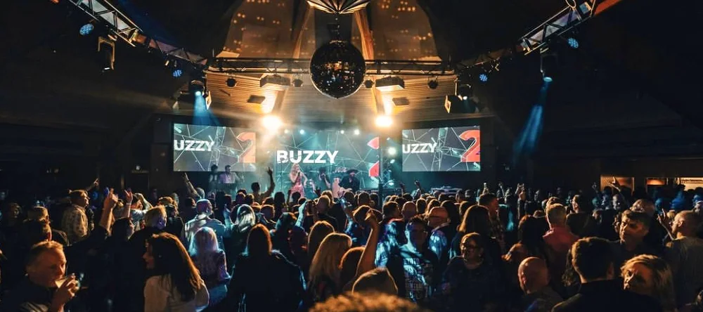 Festival crowd at a Mr Buzzy show